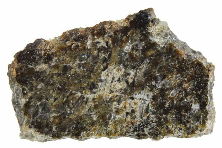 Polished Martian Meteorite Slice ( g) - NWA #256131